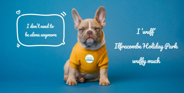 Ilfracombe Holiday Park Dog Friendly Accomodation Article 1 1